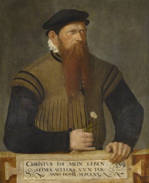 Portrait of a Bearded Man by Jost Amman Oil Painting