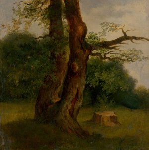 Study Of A Leafy Tree by Jozef Bozetech Klemens Oil Painting