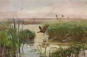 Common moorhen by Jozef Chelmonski Oil Painting