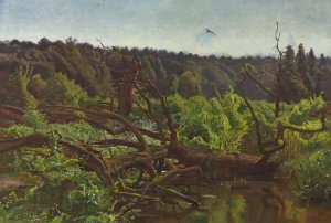 Deep forest - Windthrows by Jozef Chelmonski Oil Painting