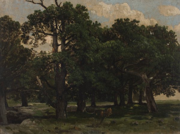 Pines  by Jozef Szermentowski - Hand-Painted Oil Painting Reproduction