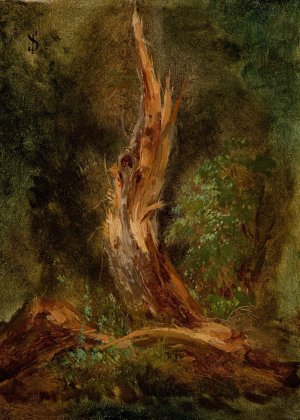 Volhynian Forest by Jozef Szermentowski Oil Painting