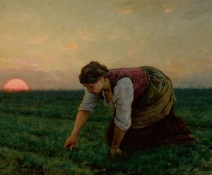 Une Sarcleuse by Jules Breton Oil Painting