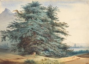 Two Ancient Trees before a Mountain Peak by Jules Dupre Oil Painting