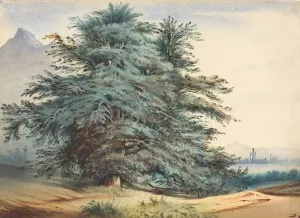 Two Ancient Trees before a Mountain Peak by Jules Dupre Oil Painting