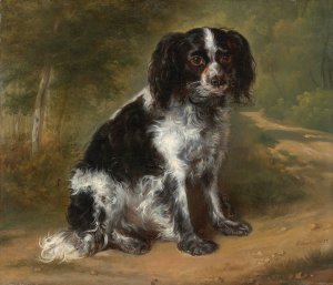 Portrait Of A King Charles Spaniel by Jules Leonard Schmitz Oil Painting