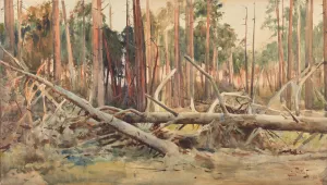 Pine forest by Julian Falat Oil Painting