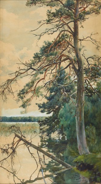 Switez  by Julian Falat - Hand-Painted Oil Painting Reproduction