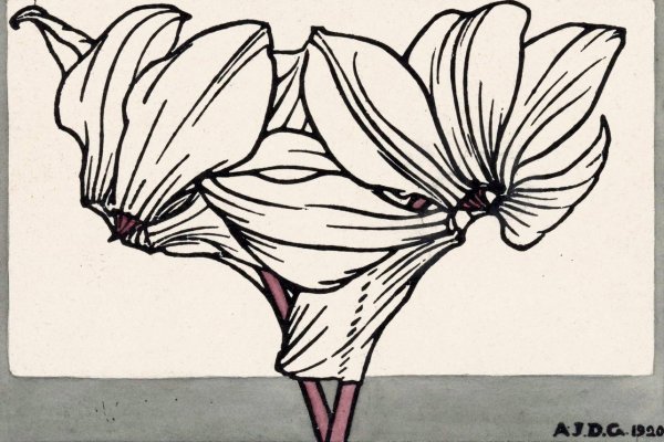 Main Product Photo of Cyclamen  Painting by Julie De Graag