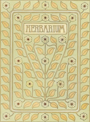 Ontwerp voor een omslag voor een herbarium by Julie De Graag Oil Painting