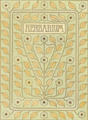 Ontwerp voor een omslag voor een herbarium by Julie De Graag Oil Painting