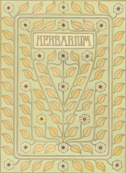 Ontwerp voor een omslag voor een herbarium  by Julie De Graag - Hand-Painted Oil Painting Reproduction