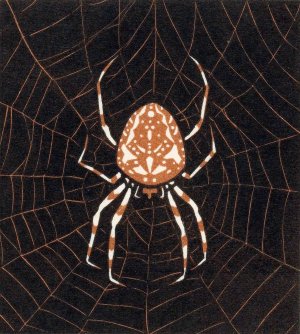 Spin in een web by Julie De Graag Oil Painting