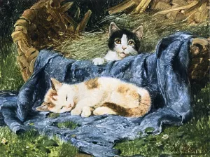 Two Kittens by Julius Adam Oil Painting