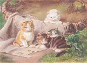 Spielende Katzen by Julius Adam The Elder Oil Painting