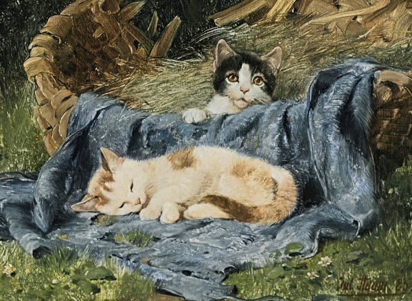 Two Kittens  by Julius Adam The Younger - Hand-Painted Oil Painting Reproduction