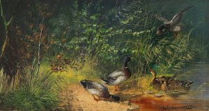 Enten am Teich by Julius Scheuerer Oil Painting
