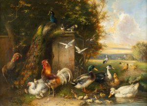 Poultry with chicken, ducks and peacock by Julius Scheuerer Oil Painting