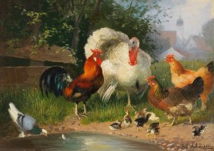 Truthahn, Hahn, Huhner, Kuken und Taube an der Tranke by Julius Scheuerer Oil Painting