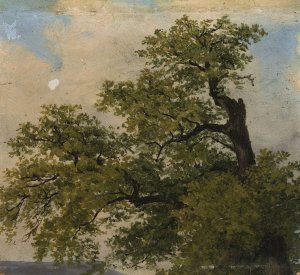 Trees by Julius Schoppe Oil Painting