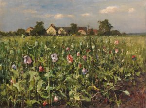 Bluhender Mohn by Julius Sergius Klever Oil Painting