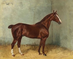 A Bay Horse with White Blaze in a Stable by Julius Von Blaas Oil Painting