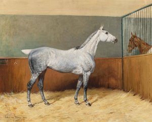 A Dappled-Grey Horse by Julius Von Blaas Oil Painting