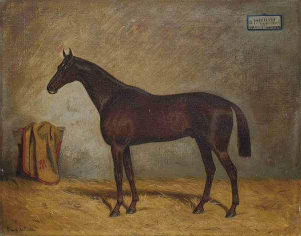 Un etalon noir a Kisber  by Julius Von Blaas - Hand-Painted Oil Painting Reproduction