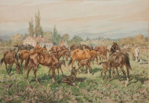 Stud on a meadow by Juliusz Kossak Oil Painting