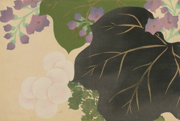 Chrysanthemum and Paulownia  by Kamisaka Sekka - Hand-Painted Oil Painting Reproduction