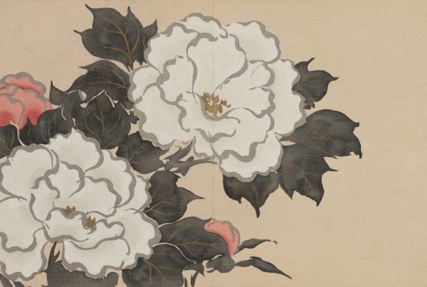 Peonies  by Kamisaka Sekka - Hand-Painted Oil Painting Reproduction