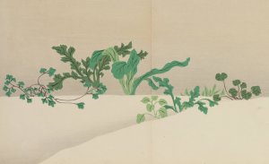Seven Herbs of Early Spring by Kamisaka Sekka Oil Painting
