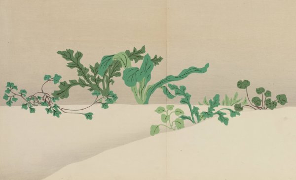 Seven Herbs of Early Spring  by Kamisaka Sekka - Hand-Painted Oil Painting Reproduction