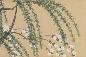 Willow and Cherry by Kamisaka Sekka Oil Painting