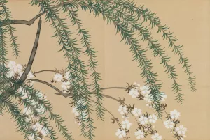 Willow and Cherry by Kamisaka Sekka Oil Painting