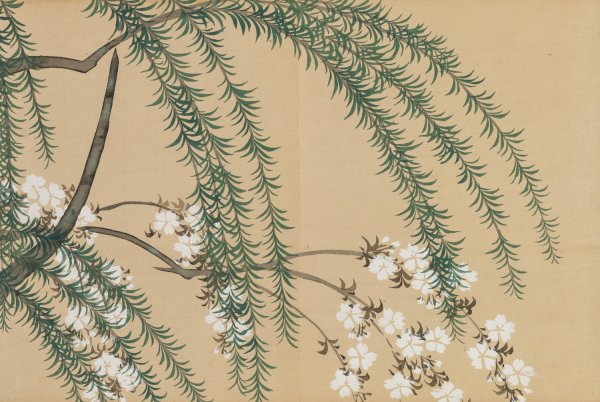 Willow and Cherry  by Kamisaka Sekka - Hand-Painted Oil Painting Reproduction
