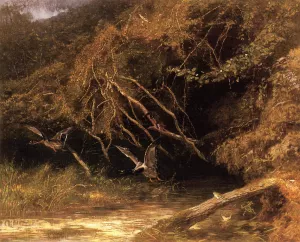 Forest with Ducks and Frogs Oil painting by Karl Bodmer