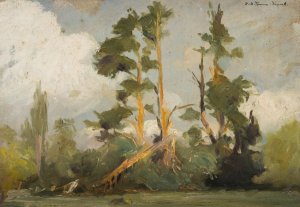 Study of Trees by Karl Maria Thuma Oil Painting