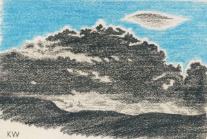 Naturstudie XIX by Karl Wiener Oil Painting