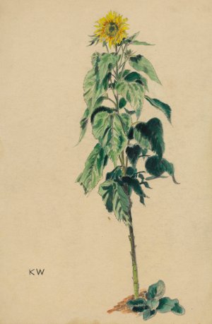 Sonnenblume by Karl Wiener Oil Painting