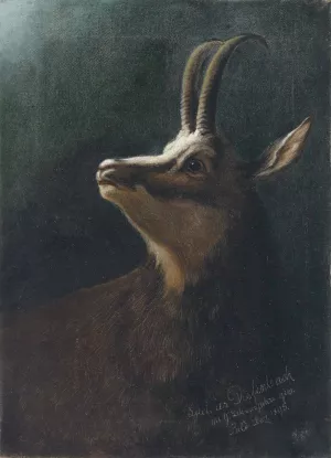 Kopf einer Gemse by Karl Wilhelm Diefenbach Oil Painting