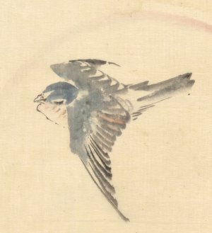 A bird flying to the left, seen from above by Katsushika Hokusai Oil Painting