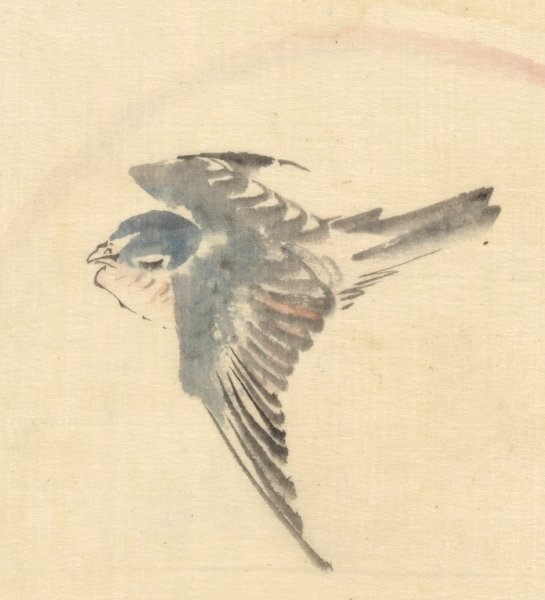 A bird flying to the left, seen from above  by Katsushika Hokusai - Hand-Painted Oil Painting Reproduction