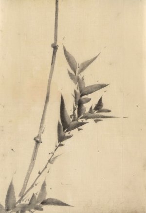 Bamboo shoots by Katsushika Hokusai Oil Painting