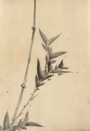 Bamboo shoots by Katsushika Hokusai Oil Painting