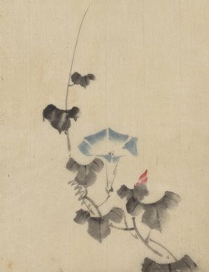 Blue blossom of morning glory on vine by Katsushika Hokusai Oil Painting