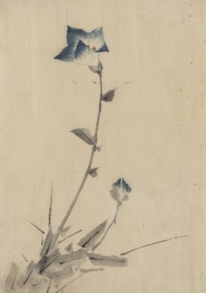Blue flower blossom and bud at the end of a stalk by Katsushika Hokusai Oil Painting