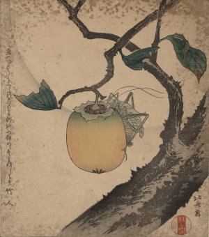 Kaki ni kirigirisu by Katsushika Hokusai Oil Painting