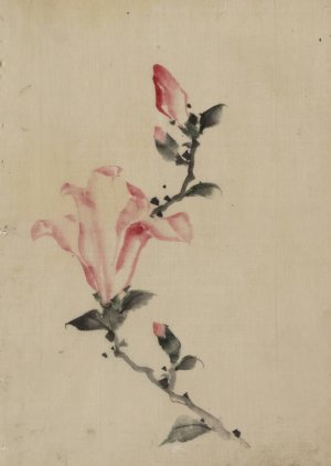 Large pink blossom on a stem with three additional buds by Katsushika Hokusai Oil Painting