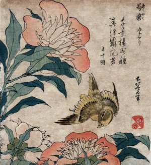 Shakuyaku kana ari by Katsushika Hokusai Oil Painting